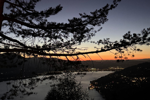 Interlaken: Red Deer Rut Tour with Sunset Fondue