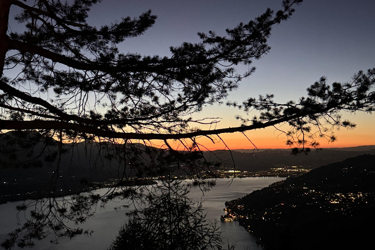 Interlaken: Red Deer Rut Tour with Sunset Fondue