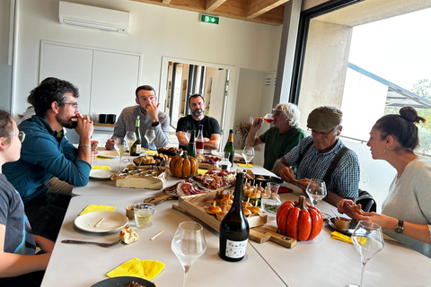 Aniane: visit to Domaine des Conquêtes & winemaker's lunch