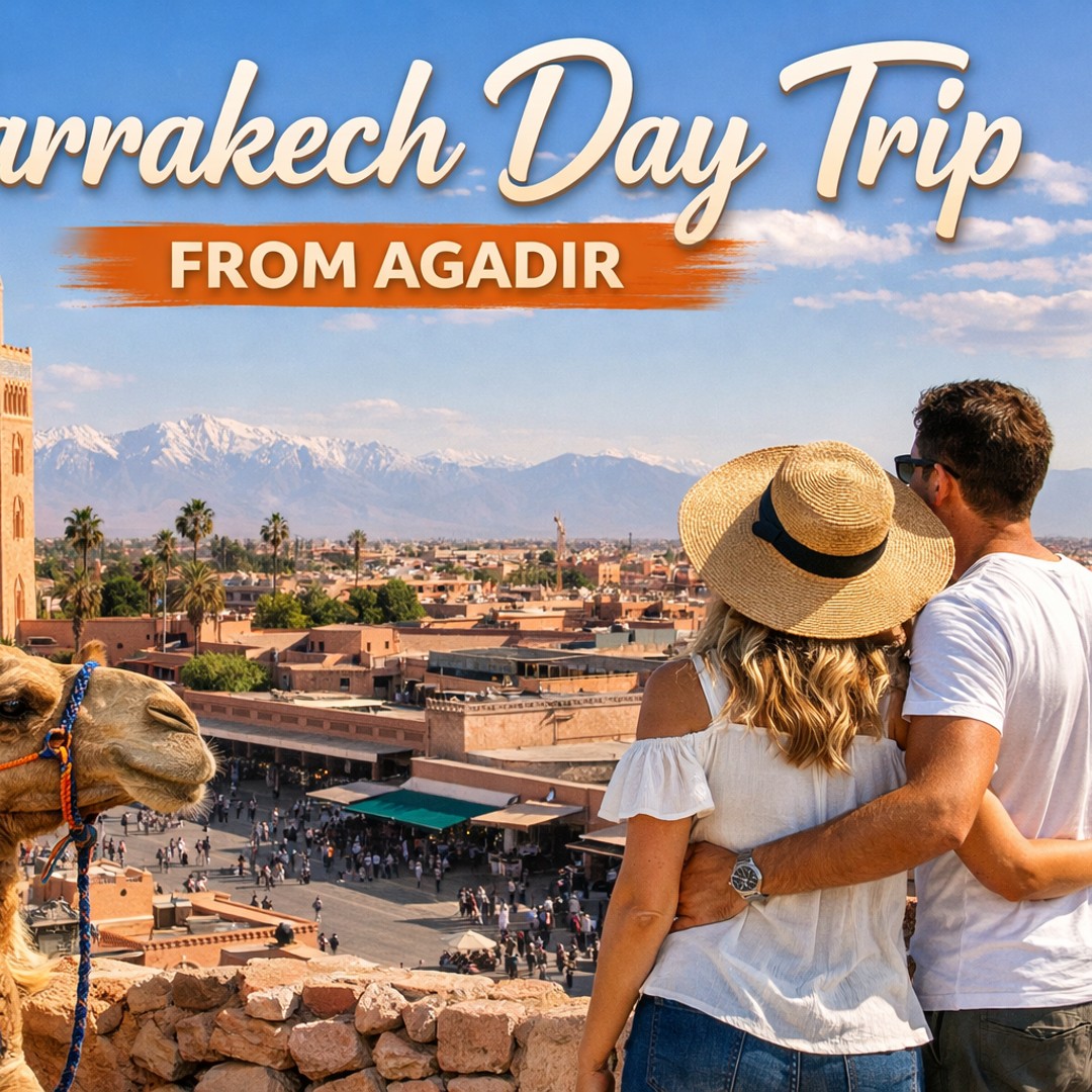 Au départ d'Agadir : Visite guidée de Marrakech avec un guide agréé - medina