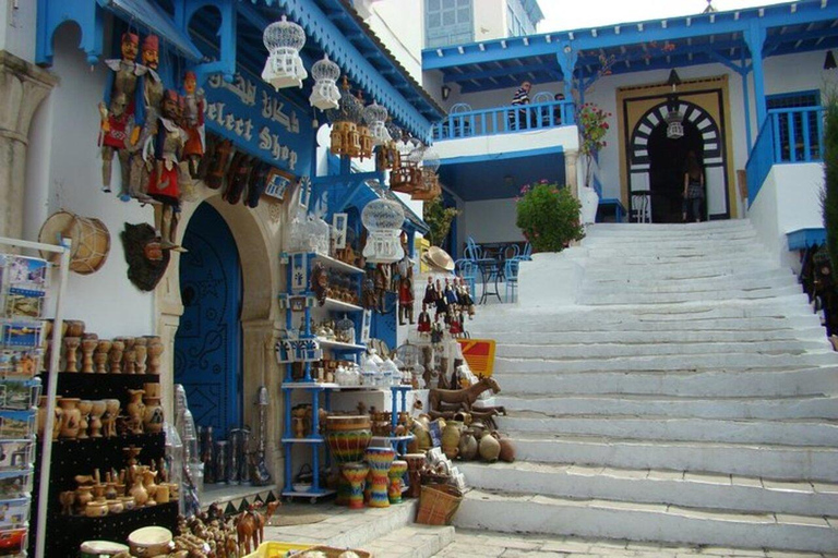 Excursión de un día Túnez Cartago Bardo desde Hammamet