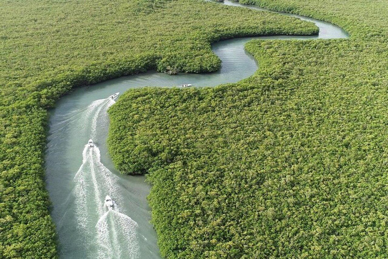 Cancun: Jungle Tour with Speedboat Ride and SnorkelingDouble