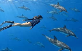  - Canarie.it