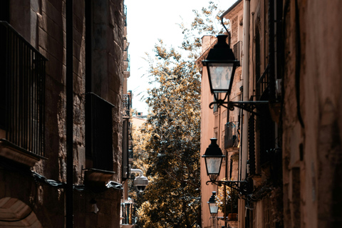 Medieval Castles and Girona City Exclusive Trip with Lunch Shared Group Tour