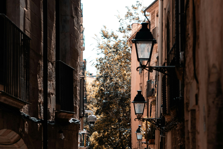 Medieval Castles and Girona City Exclusive Trip with Lunch Shared Group Tour