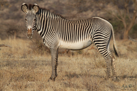 9-Days Mount Kenya and Samburu Safari