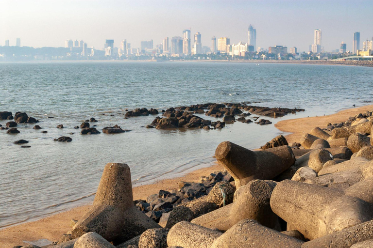 Mumbai : le meilleur de la ville, visite privée d'une demi-journéeVisite guidée d'une demi-journée avec un guide de la région
