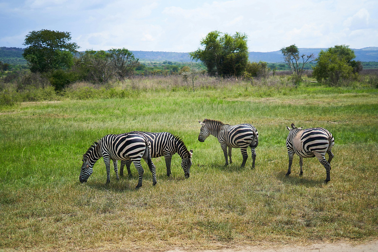 Nairobi: 6-Day Masai Mara, Lake Nakuru, & Amboseli Safari