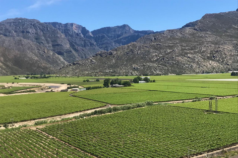 Città del Capo: Scopri le sei meraviglie di Città del Capo in 3 giorni