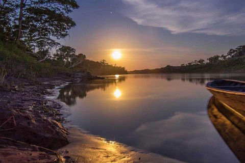 Puerto Maldonado: 3-Day Amazon Lodge Tour