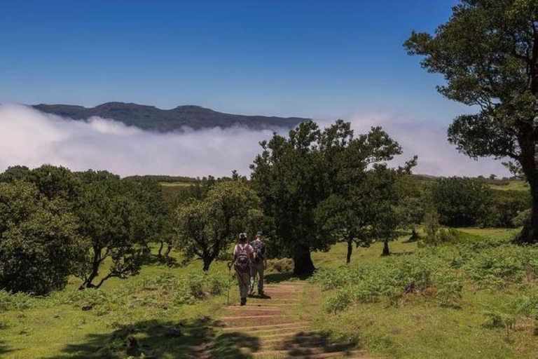 Fanal Assobiadores Trail Machico, Santa Cruz pickup hotels