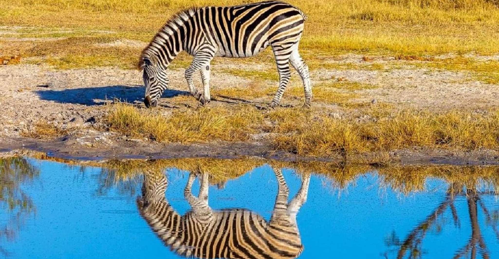 Lake Manyara National Park Day Tour - Hizvo