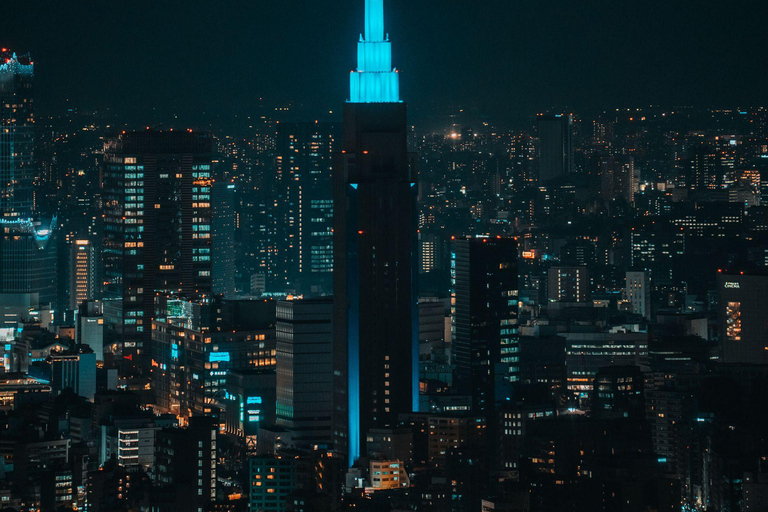 Tokyo: Luxury Private Full-Day City Tour by Alphard Luxury Alphard