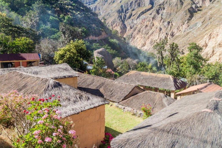 Arequipa: Colca Canyon Trekking 3-Day Tour & 2 Nights