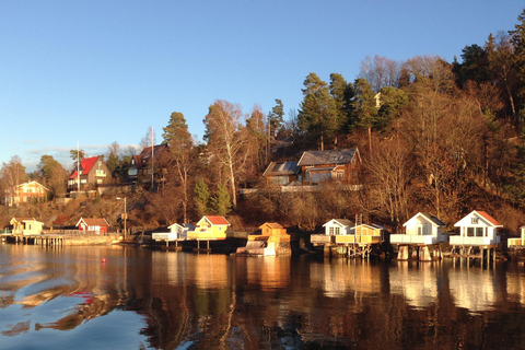 Oslo: Fjord Minicruise per Houten Zeilschip