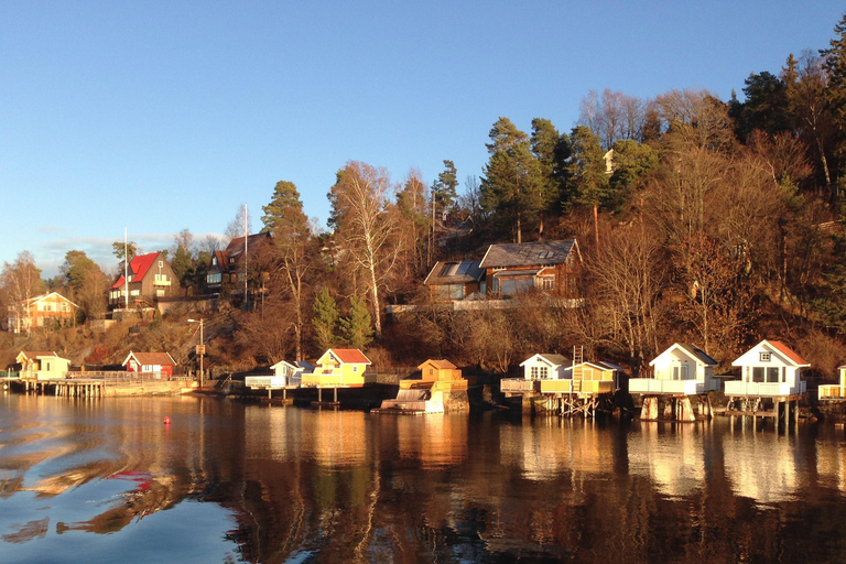 Oslo: Mini crucero por los fiordos en velero de madera