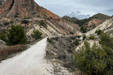 Alicante, Spain: Guided Gravel Ride - Via Verde 65Km