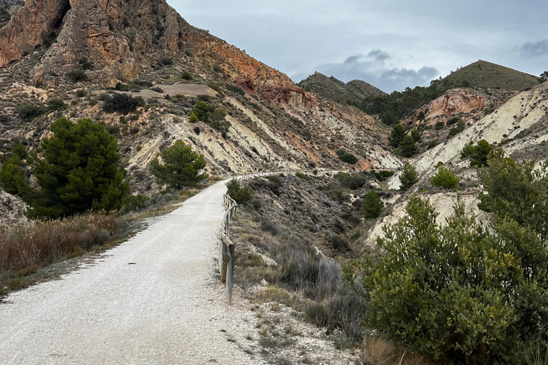 Alicante, Spain: Guided Gravel Ride - Via Verde 65Km