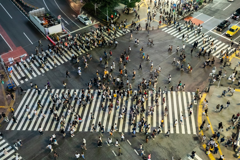 Shibuya et Harajuku : Visite privée des joyaux cachés et des points fortsVisite de 3 heures