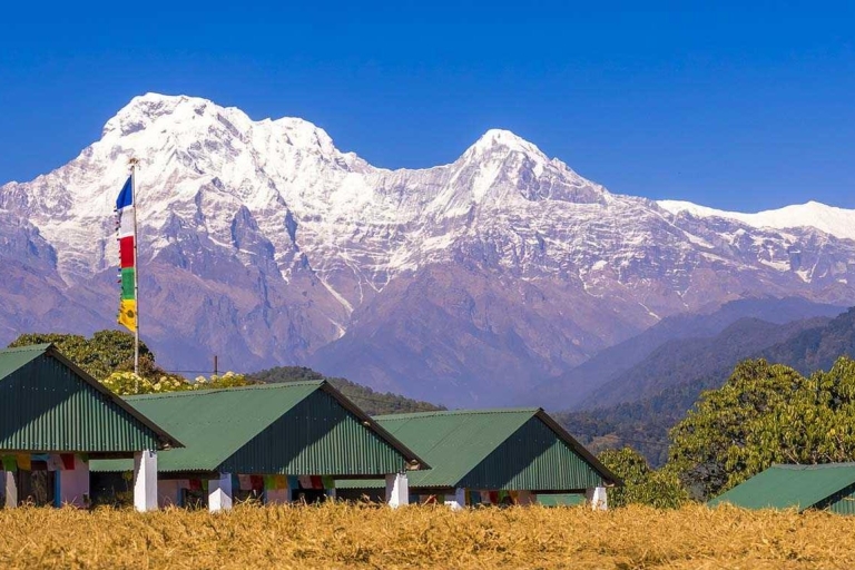 Pokhara: Day Hike to Australian Camp & Dhampus Village