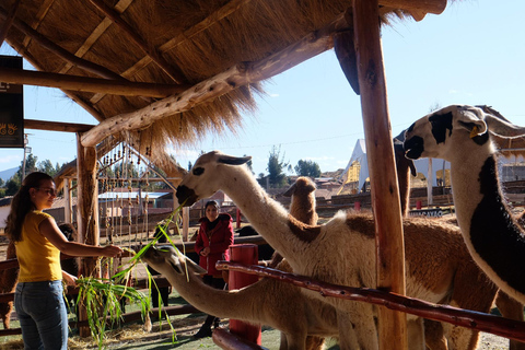 Camelid Center Visit in Cusco: Alpacas, Culture & Weaving