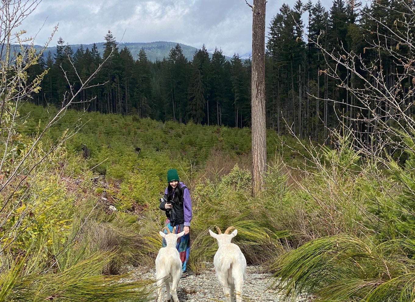Gede-vandretur på Maple Heart Ranch