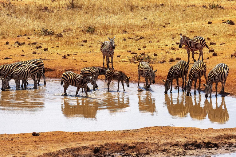 Mombasa: Tsavo West Overnight Safari & Night Drive at Ziwani