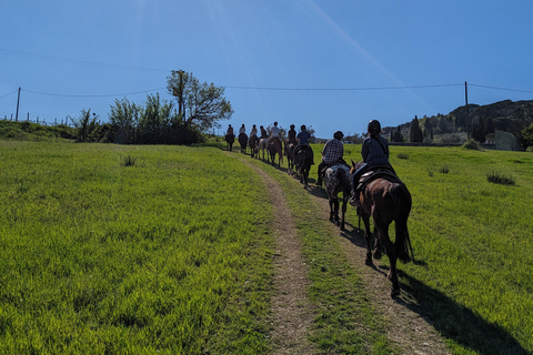 Firenze: Tour a cavallo con degustazione di vini e trasferimento