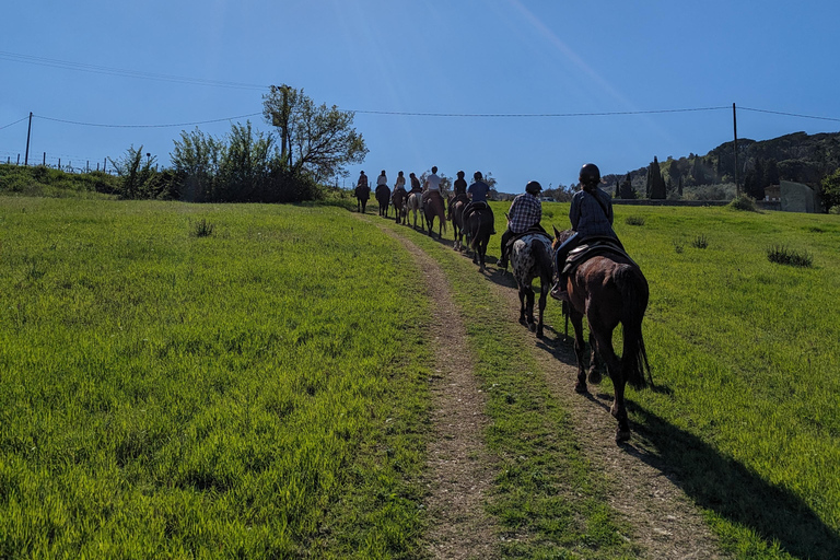 Firenze: Tour a cavallo con degustazione di vini e trasferimento