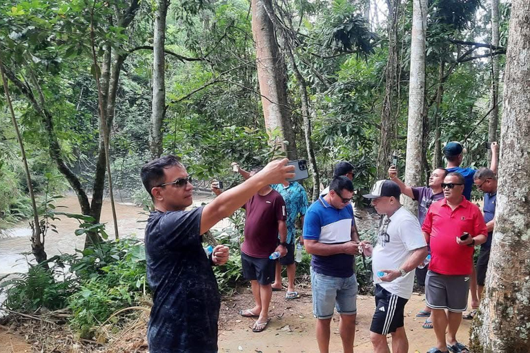 Slow boat to Pak Ou caves and Kuang Si falls Full-day tour