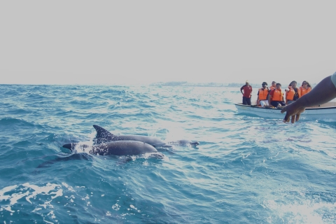 Mnemba: dolfijnen, snorkelavontuur en barbecue met zeevruchtenMnemba eiland: Snorkelen & Zeevruchten BBQ