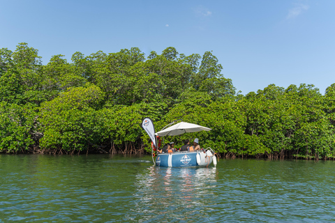 Denarau: Self Drive BBQ eBoat Cruise with Onboard BBQ Fiji Self-Drive Cruise with optional BBQ onboard