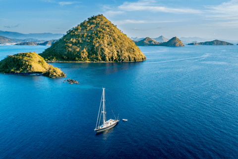 Tour de día completo a la Isla de Komodo en la Isla de Labuan Bajo