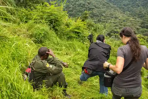 Vanuit Nairobi: 7-daagse Masai Mara en Bwindi gorilla safari