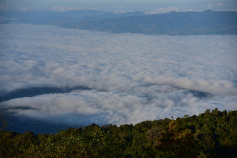 Chiang Mai : Rizières en terrasses de Pa Bong Piang et Doi Inthanon