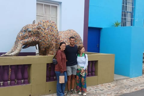 Cape Town: Walking Tour, History, Bo-Kaap, and Local Culture