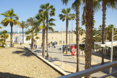 Valence : Une visite Segway fantastique du centre à la plage