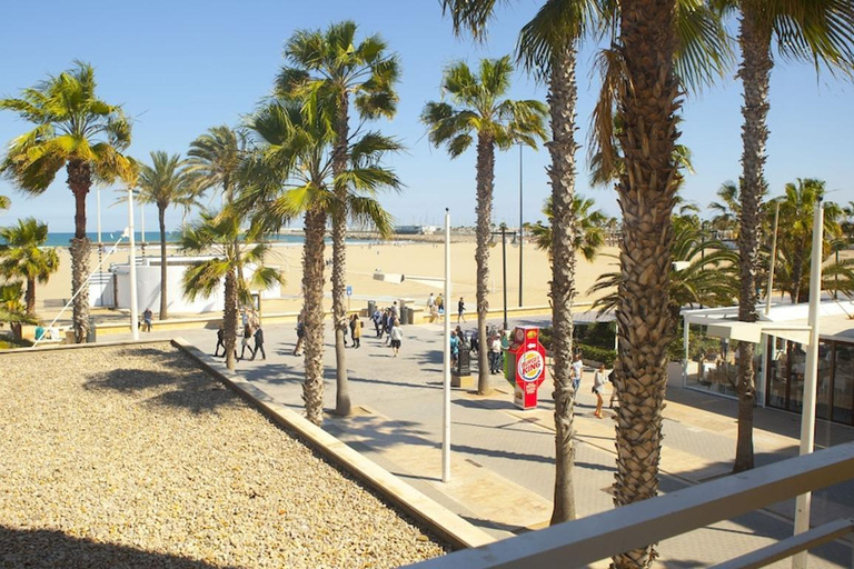 Valence : Une visite Segway fantastique du centre à la plage