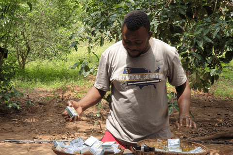 Zanzibar: Spice Farm Guided Walking Tour With Lunch