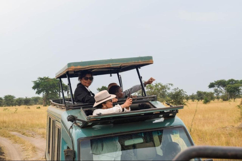 Ciej Tours 9 días de senderismo por los gorilas y Nanyuki, Monte KeniaCiej Tours: 9 días de trekking de gorilas y Nanyuki, monte Kenia