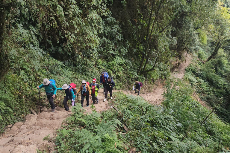 Mardi Himal Trek in Nepal