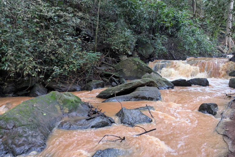 Karura Forest walking tour with nature and waterfalls.
