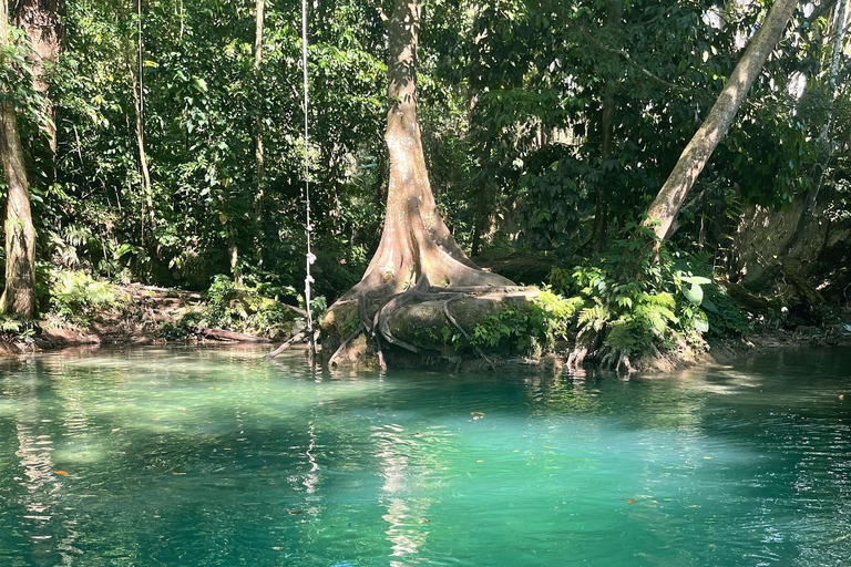 Benta River Falls and Ricks Cafe Tour From Falmouth/ Trelawny