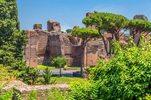 Colosseum Timed Entry Visit with Hosted Meeting Point Colosseum Timed Entry Visit with Interactive Media App