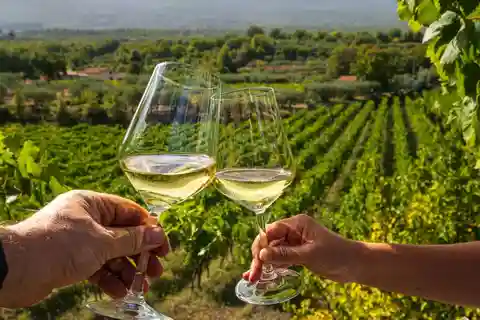 From Athens: Wine Roads Private Tour with Wine Tasting