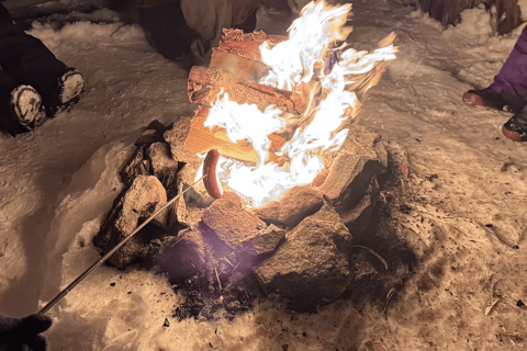 Vanuit Saariselkä/Inari: Aurora-jachttour, kampvuur en snacksVanuit Saariselkä/Inari: op jacht naar het noorderlicht, kampvuur en snacks