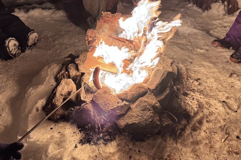 Vanuit Saariselkä/Inari: Aurora-jachttour, kampvuur en snacksVanuit Saariselkä/Inari: op jacht naar het noorderlicht, kampvuur en snacks