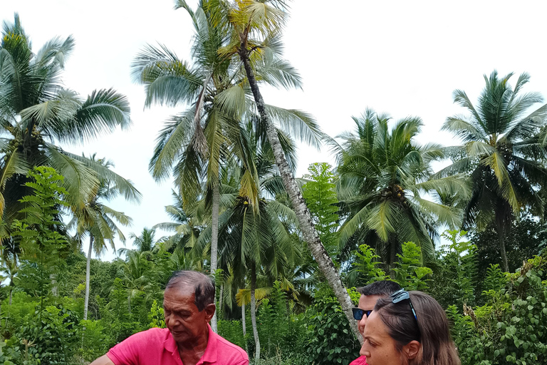 Ontdek de verborgen parels van Galle en eet met localsOntdek de verborgen parels van Galle en de kunst van het lokale dineren