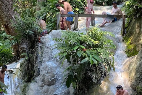 Chiang Mai: Afternoon Bua Tong Sticky Waterfall by Red Taxi