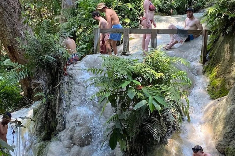 Chiang Mai: Afternoon Bua Tong Sticky Waterfall by Red Taxi